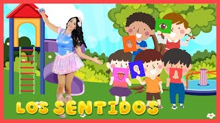 LOS SENTIDOS  CANCIÓN INFANTIL  AglaE [upl. by Ahsikcin]