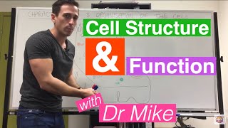 Cell Structure and Function [upl. by Airottiv]