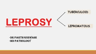 Leprosy Pathology [upl. by Alano]