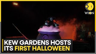 London Kew Gardens Hosts Its First Halloween Light Trail  WION [upl. by Aural920]