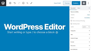 How to Use the WordPress Editor [upl. by Sipple930]