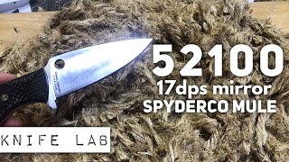 52100 Steel in the Knife Lab  Spyderco Mule Series [upl. by Heimlich]