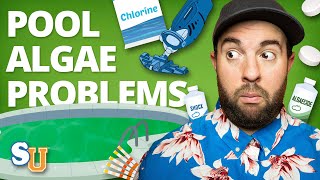 How to Stop ALGAE in Your POOL From Returning  Swim University [upl. by Mailliw]