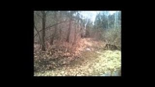 Extraordinary Bigfoot Footage [upl. by Teagan]