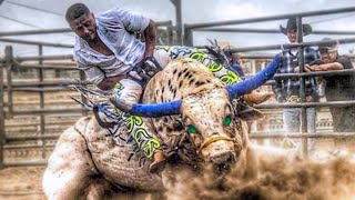 10 Most Dangerous Bulls of Rodeo History [upl. by Rehpotsrihc917]