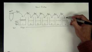 Concentrations Part 5  serial dilution [upl. by Ellicec684]