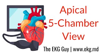 Apical 5Chamber View  ECHO Course l The EKG Guy  wwwekgmd [upl. by Eseret]