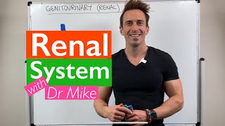 Renal System  Overview [upl. by Nhtanhoj]