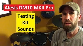 Alesis DM10 MKII Pro  Kit Sounds [upl. by Eirehc]