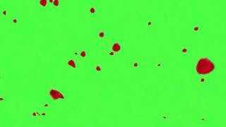 Green Screen Red Petals 💚 [upl. by Raquela411]