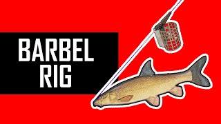 How to tie a RIG for BARBEL [upl. by Barnabe541]