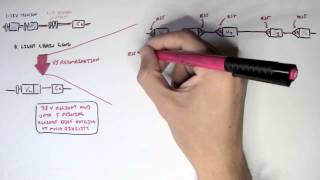 Immunology  Antibody Somatic VDJ Recombination II [upl. by Natalina]