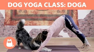 DOG YOGA Class DOGA [upl. by Garling]