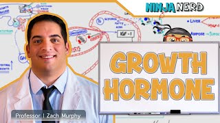 Endocrinology  Growth Hormone [upl. by Yeniar603]