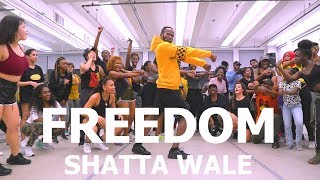 Shatta Wale  Freedom  Meka Oku Afro Dance Choreography [upl. by Anilra758]