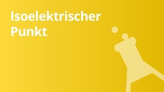 Aminosäuren isoelektrischer Punkt  Chemie [upl. by Berck]