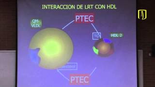 Metabolismo de lípidos  Bioquímica médica [upl. by Gerladina]