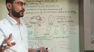 Geneticslecture 24  autopolyploidy and allopolyploidy [upl. by Frolick970]