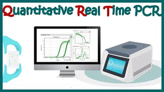 Quantitative real time PCR qPCR [upl. by Folberth]