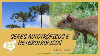 SERES AUTOTRÓFICOS E HETEROTRÓFICOS – Ensino Fundamental [upl. by Suirauqed]