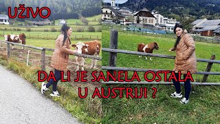 DA LI JE SANELA OSTALA U AUSTRIJI  UKLJUČENJE UŽIVO [upl. by Ellierim839]