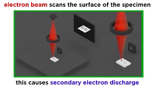 Electron Microscopy TEM and SEM [upl. by Emad]