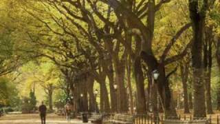 Autumn In New York  Sweet Jazz Trio [upl. by Gayleen184]