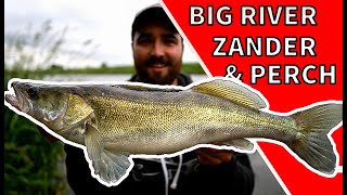 Big River Zander and Perch  Lure fishing UK Texas Rig [upl. by Dulla]