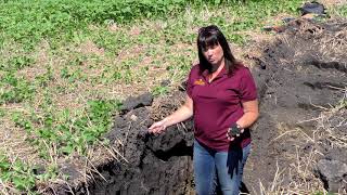 Soil erosion and compaction  Part 1 [upl. by Clayton]