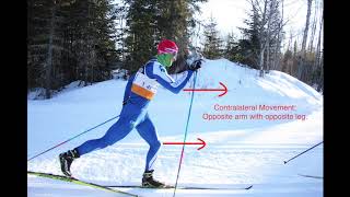 Cross Country Skiing DIAGONAL STRIDE [upl. by Ambrosia]