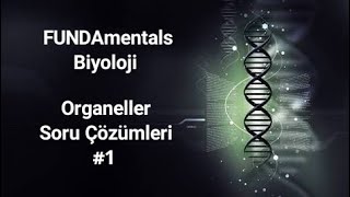 Organeller Soru Çözümleri 1 [upl. by Adnuahsal]