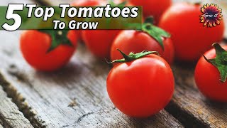 TOP 5 Tomato Varieties To Grow At Home [upl. by Etnud]