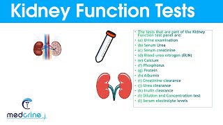 Kidney Function Tests and Interpretation of Results [upl. by Enialed]