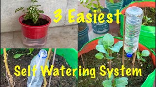 3 Easiest Self Watering System For Your Plants [upl. by Neesay]