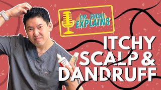 Dr Sugai Explains Itchy Scalp and Dandruff What Shampoos to Consider [upl. by Chui]