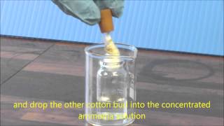 Ammonia amp HCl Diffusion Demonstration [upl. by Neelhtac]