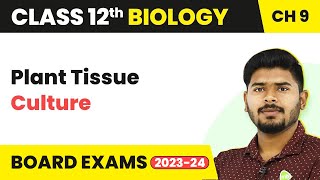 Plant Tissue Culture  Strategies for Enhancement in Food Production  Class 12 Biology 202223 [upl. by Kizzee]