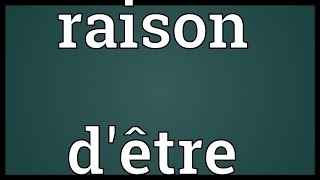 Raison dêtre Meaning [upl. by Anerec]