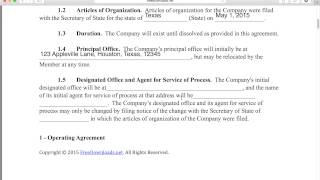 Write a Free Single Member LLC Operating Agreement  PDF  Word [upl. by Eceela]