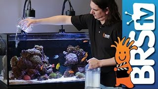 How To Dosing 2 Part in Your Reef Tank [upl. by Anos]