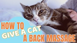 How to give a cat a back massage [upl. by Rozanna]