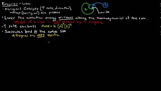 Enzymes Part 1 of 5  Introduction [upl. by Sregor198]