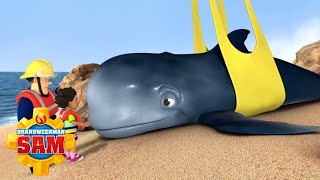 De walvis redden  Brandweerman Sam  Kinderfilms [upl. by Bryon]