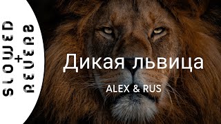 ALEXampRUS  Дикая львица s l o w e d  r e v e r b [upl. by Aroon173]