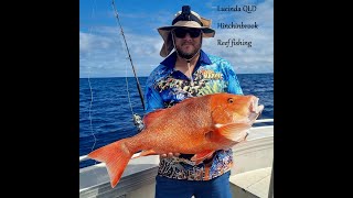 Hinchinbrook Lucinda QLD Reef fishing [upl. by Lizbeth]