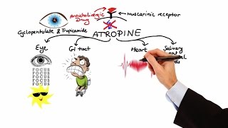 Pharmacology  ANTICHOLINERGIC amp NEUROMUSCULAR BLOCKING AGENTS MADE EASY [upl. by Rudelson123]