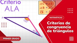 83 Criterios de congruencia de triángulos [upl. by Ahcirt]