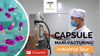 Capsules Manufacturing Process  Soft Gelatin Capsules [upl. by Hayott]