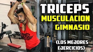 ➤ TRICEPS  Los MEJORES EJERCICIOS de TRICEPS de Musculación EN EL GYM [upl. by Mehcanem]