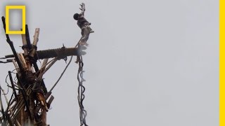 Amazing POV Jump With the Original Bungee Jumpers  National Geographic [upl. by Elorac]